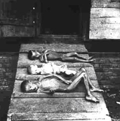 Голод 1947г. Молдавская ССР 